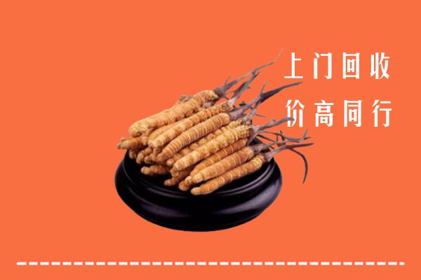 高价求购：朝阳市凌源市回收散虫草