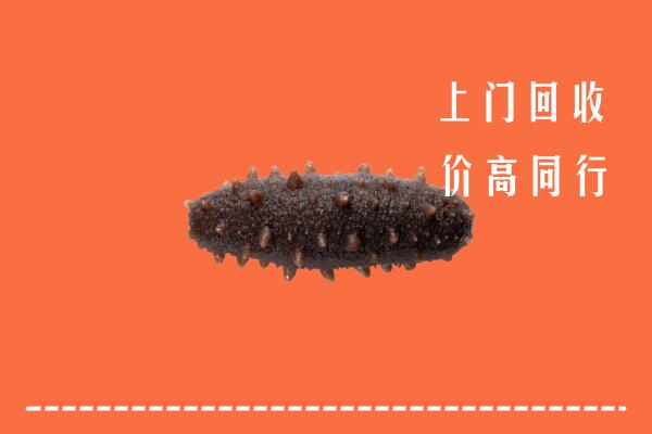 高价求购：朝阳市凌源市回收海参