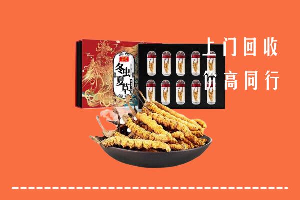 朝阳市凌源市高价回收虫草